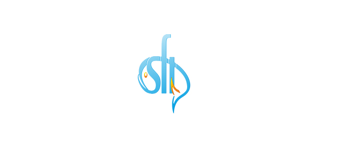 ЗАВОДНЫЕ КОЛЬЦА SFT