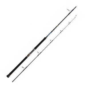DAIWA SALTIGA C