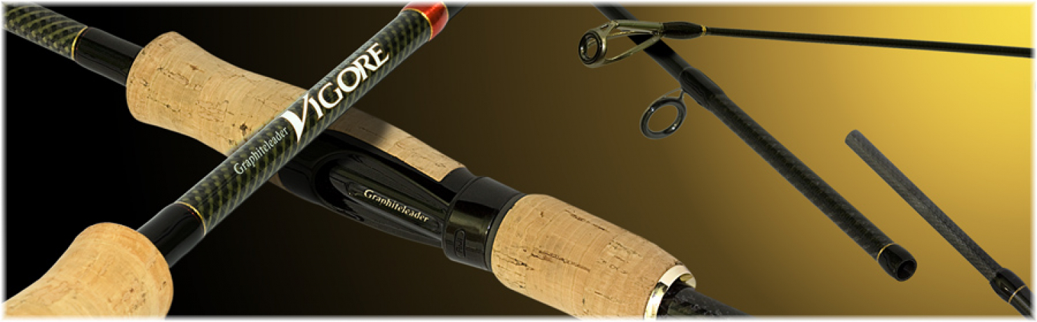 Vigore banner big 2.jpg